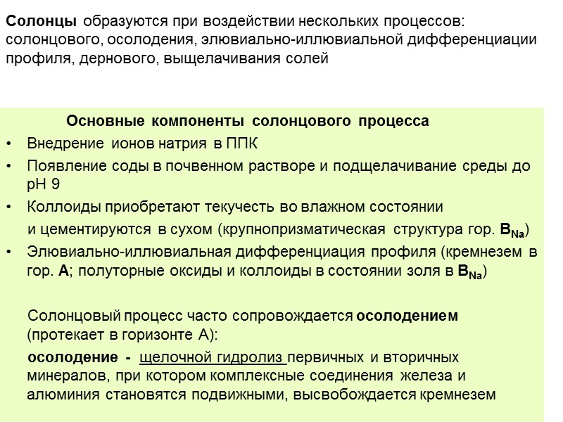 Солонцы образуются при воздействии нескольких процессов: солонцового, осолодения, элювиально-иллювиальной дифференциации профиля, дернового, выщелачивания солей